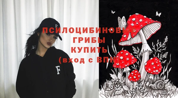 бутират Арсеньев