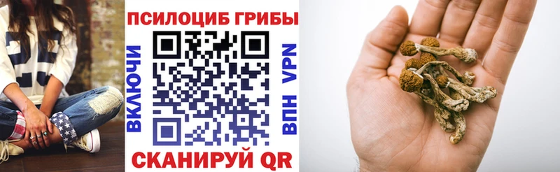 Галлюциногенные грибы Cubensis  Ревда 